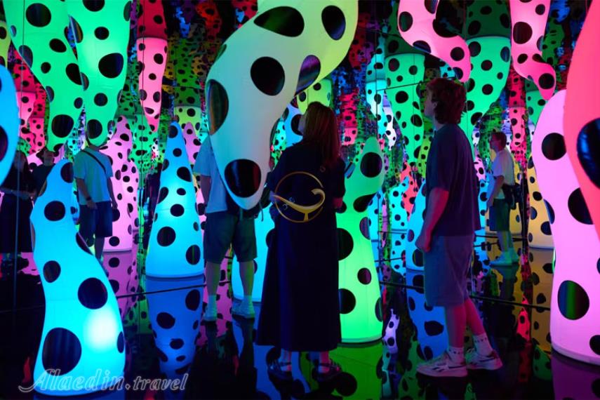 نگارخانه ملی ویکتوریا در ملبورن ‌| علاالدین تراول