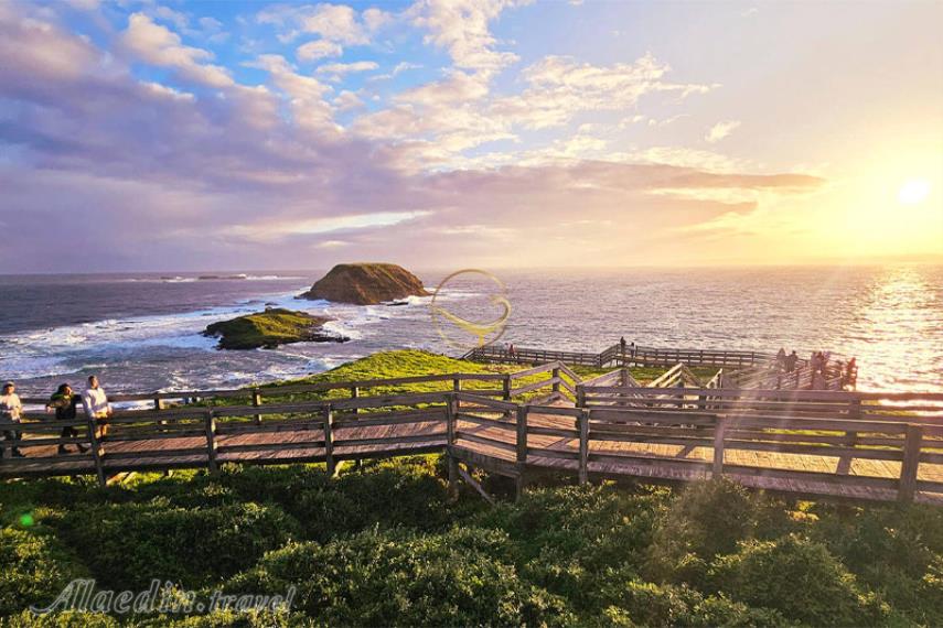 جزیره فیلیپ در ملبورن | علاالدین تراول