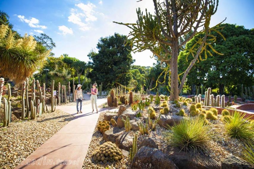 باغ‌های سلطنتی ملبورن | علاالدین تراول