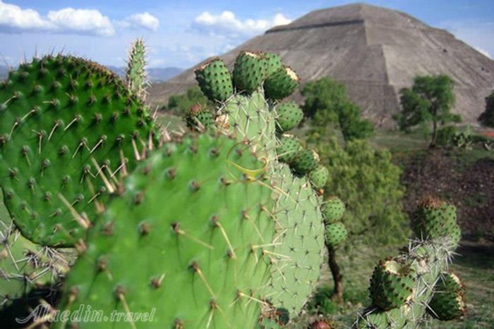 شهر باستانی تئوتیهواکان مکزیکو سیتی - مکزیک