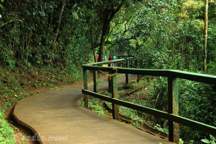 پارک ملی ایگواسو میسیونز - آرژانتین