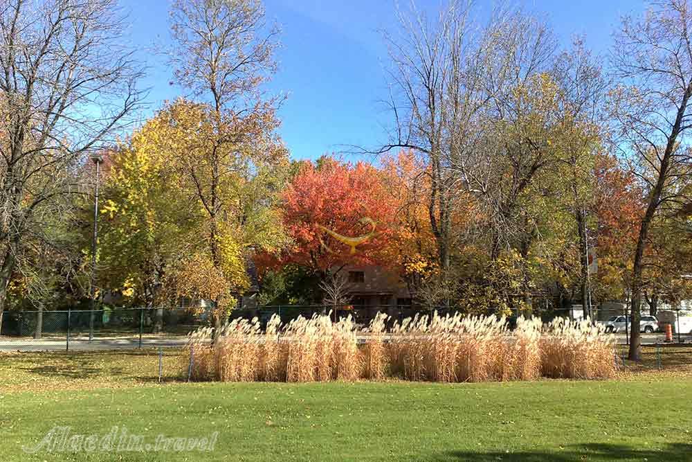 پارک مزونوو در مونترال - کانادا | علاءالدین تراول