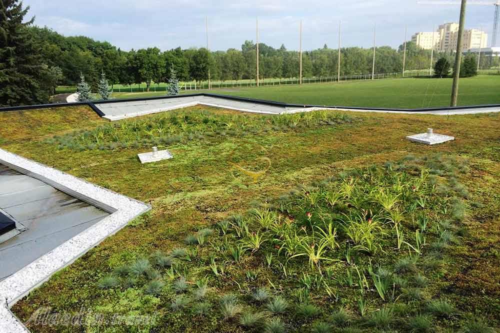 پارک مزونوو در مونترال - کانادا | علاءالدین تراول