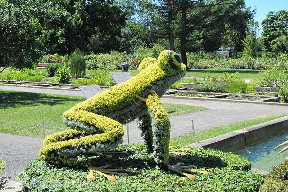 باغ گیاهشناسی مونترال | علاءالدین تراول