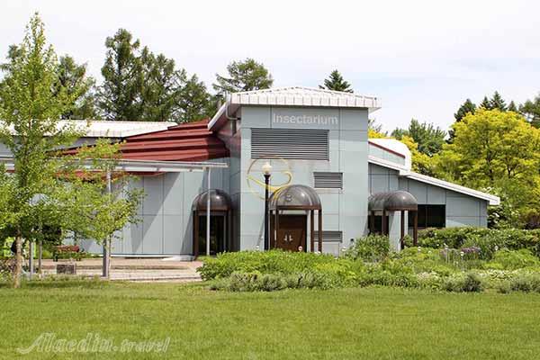 موزه حشره شناسی مونترال در کانادا