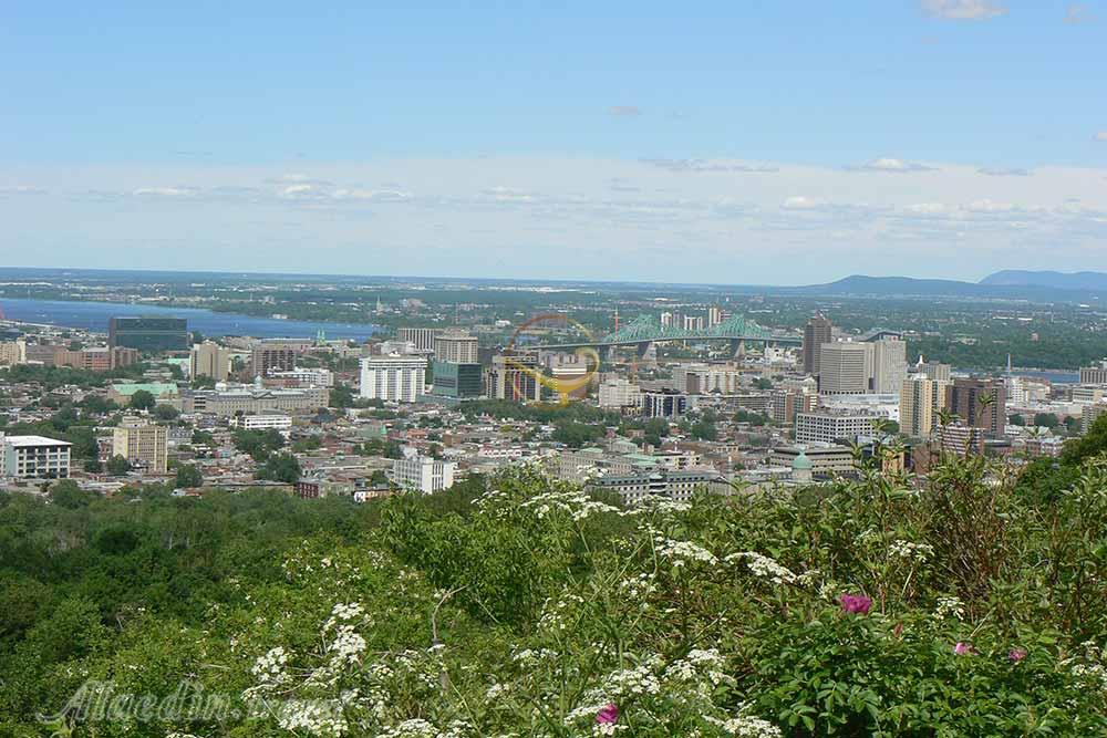 پارک مونت رویال مونترال | علاءالدین تراول