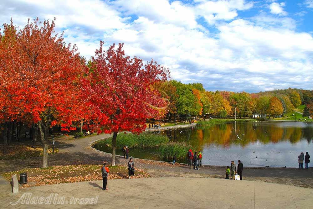 پارک مونت رویال مونترال | علاءالدین تراول