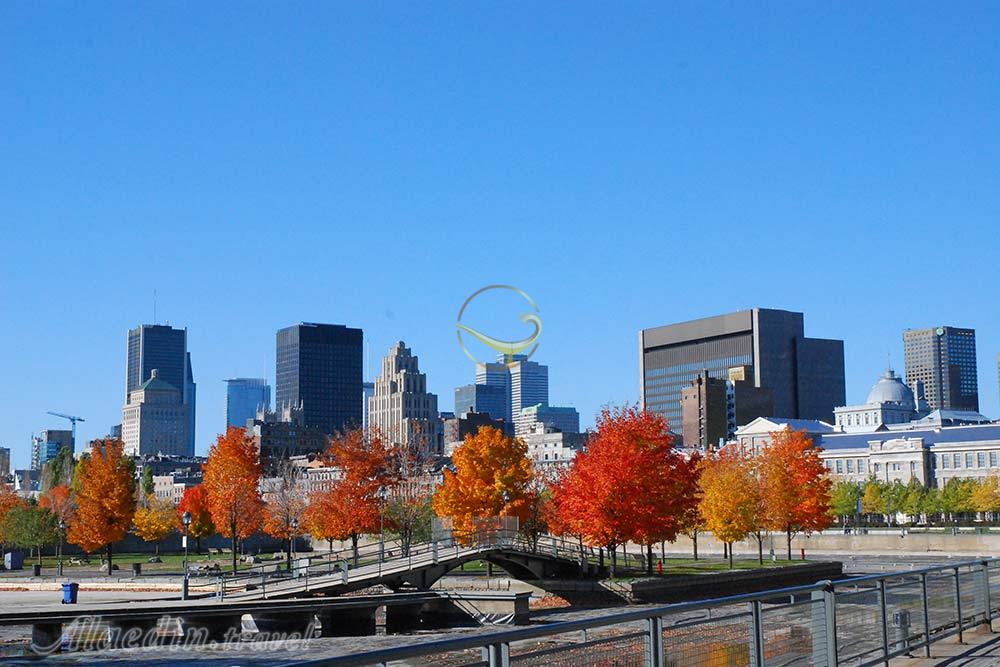 بندر قدیم مونترال | علاءالدین تراول