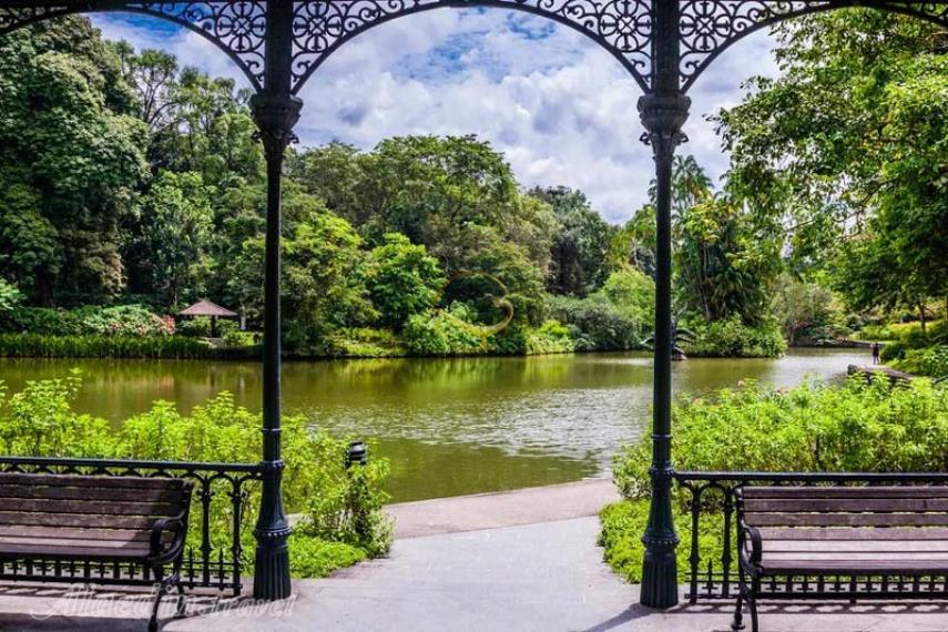 باغ گیاه شناسی مسکو - روسیه