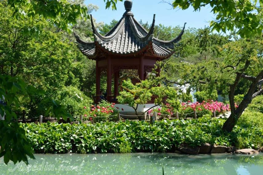 باغ گیاه شناسی مسکو - روسیه