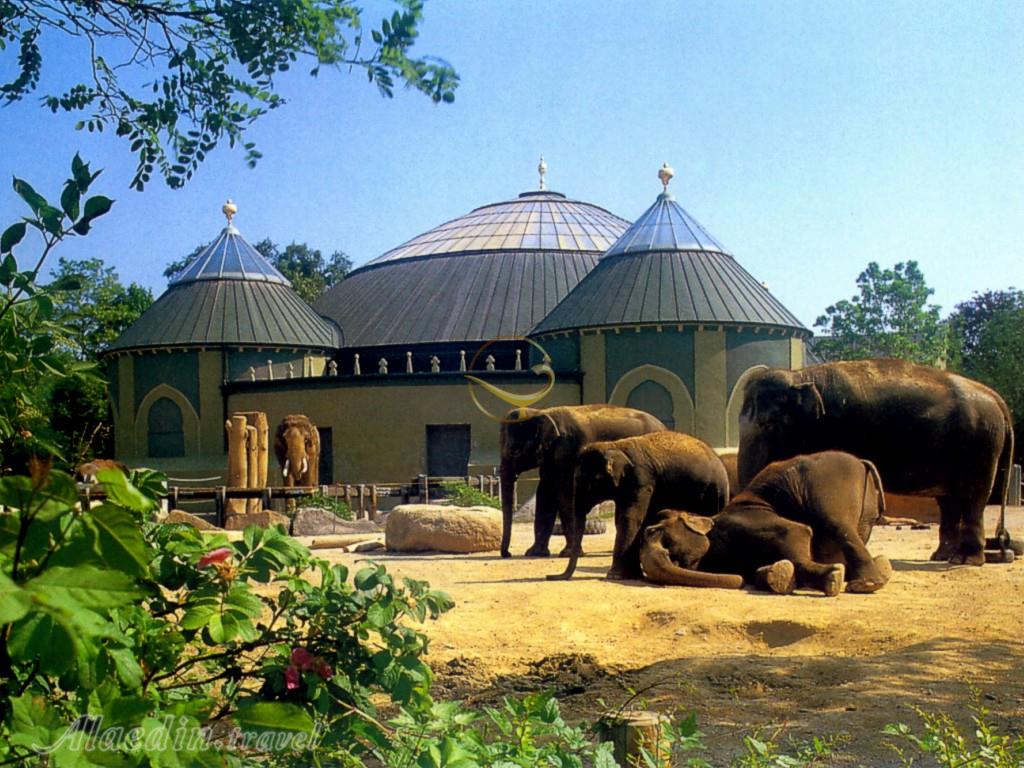 باغ وحش هلابران در مونیخ - آلمان