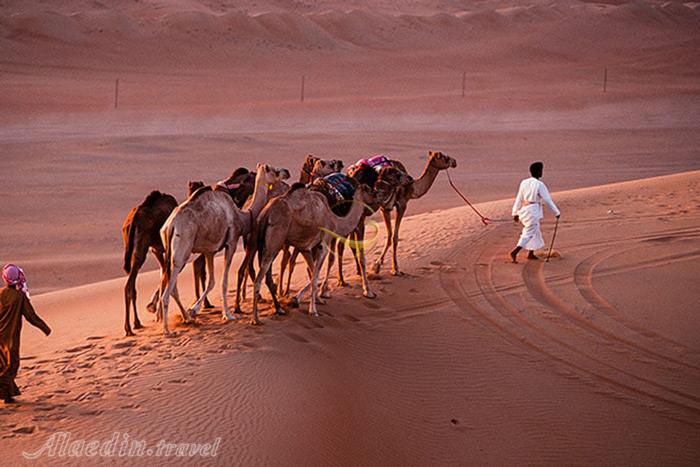 کویر وحیبا مسقط - عمان