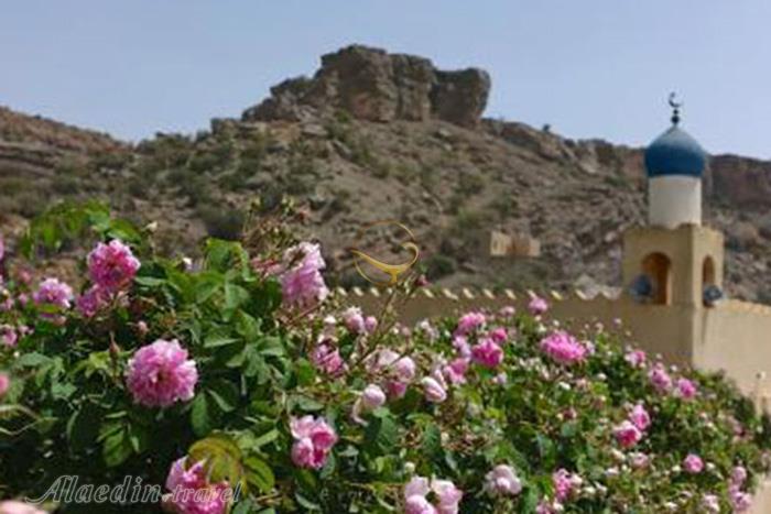 کوه اخضر (کوهستان سبز) مسقط - عمان