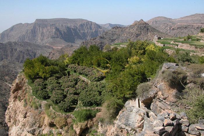 کوه اخضر (کوهستان سبز) مسقط - عمان