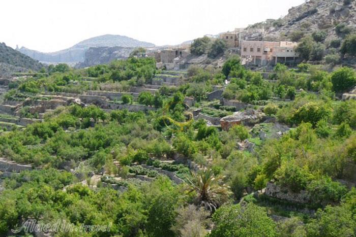 کوه اخضر (کوهستان سبز) مسقط - عمان