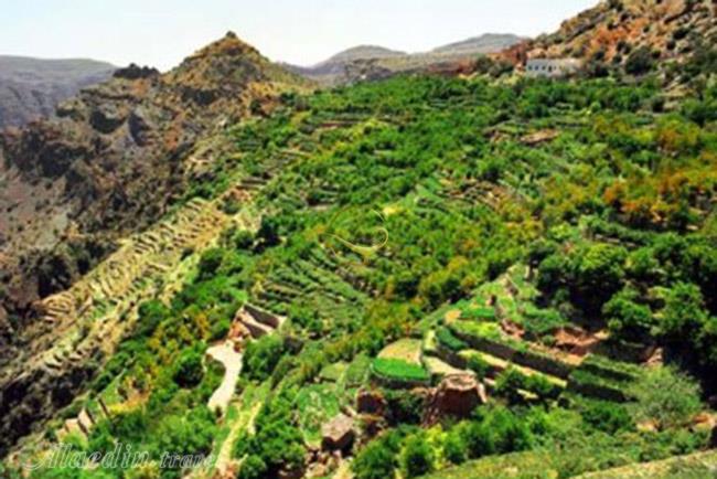 کوه اخضر (کوهستان سبز) مسقط - عمان