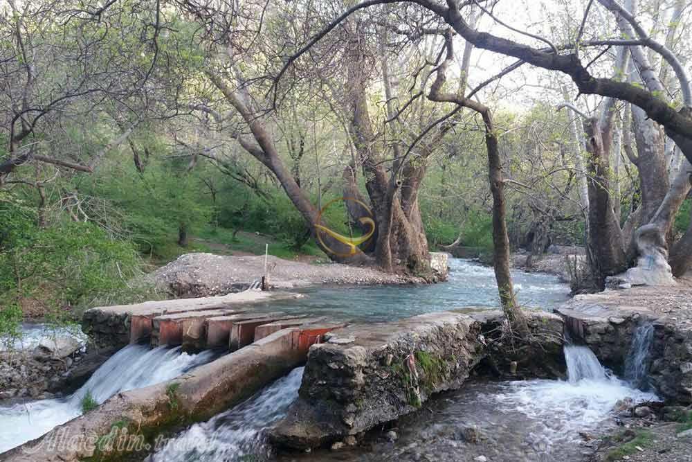 سراب گاماسیاب در نهاوند | علاءالدین تراول