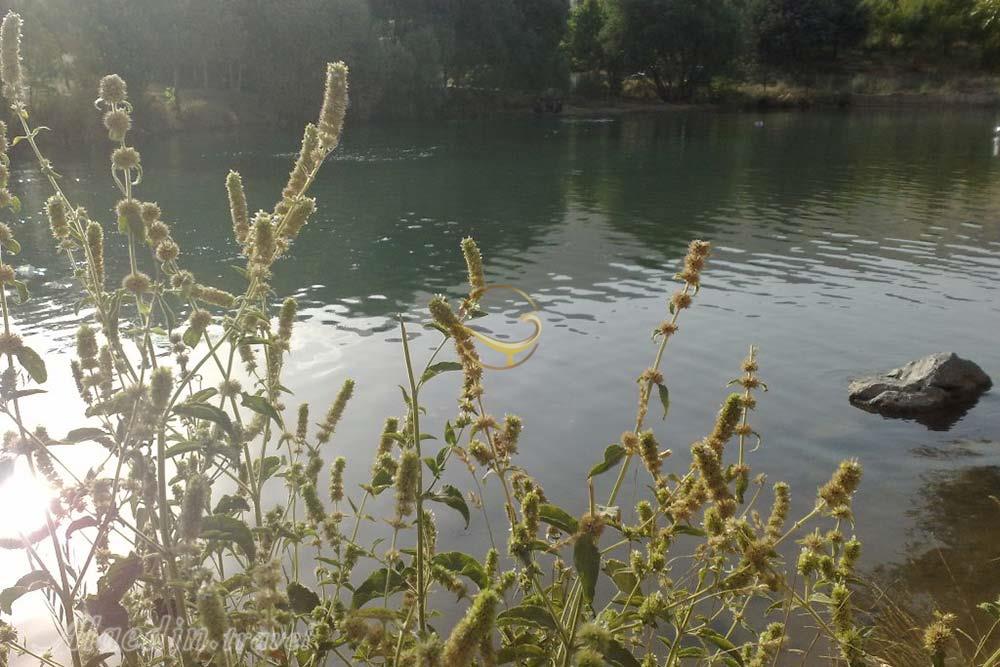 سراب گاماسیاب در نهاوند | علاءالدین تراول