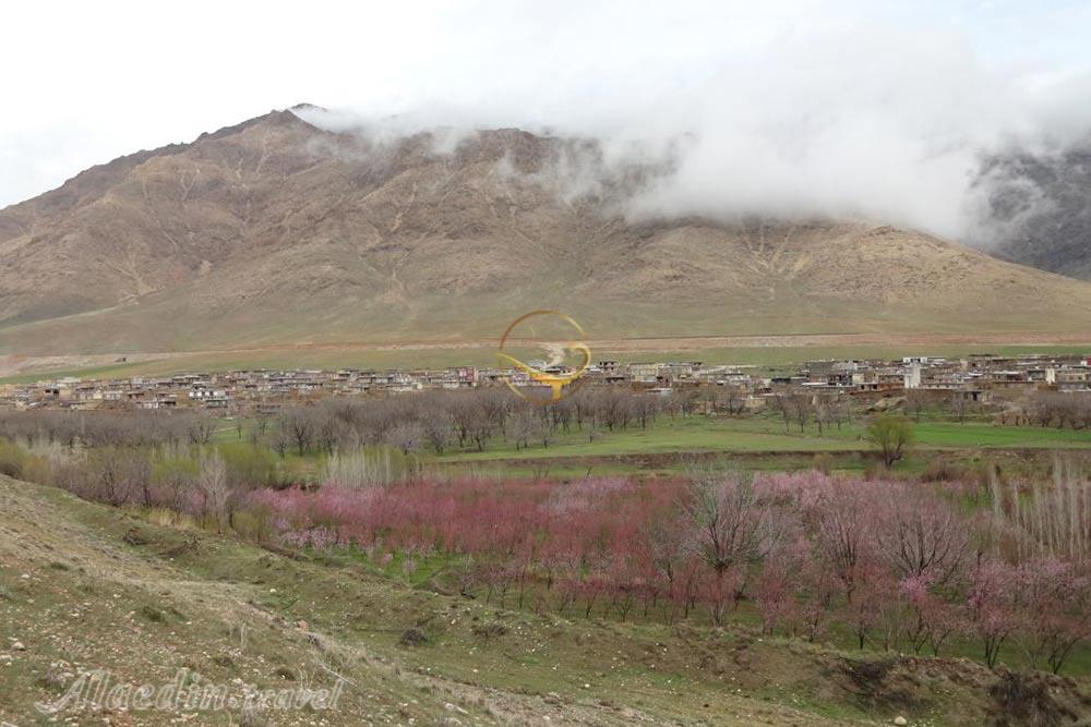 منطقه حفاظت شده ملوسان در نهاوند | علاءالدین تراول