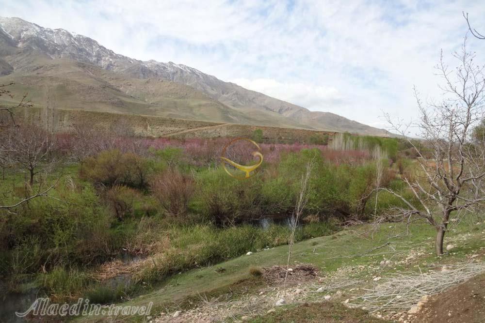 منطقه حفاظت شده ملوسان در نهاوند | علاءالدین تراول