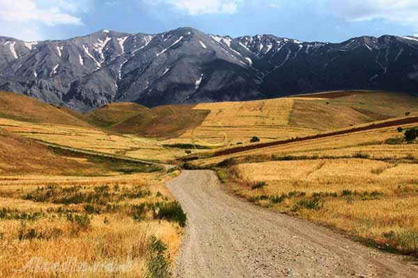 منطقه حفاظت شده ملوسان در نهاوند