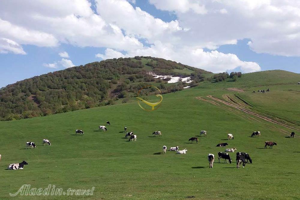 دریاچه سوها نمین | علاءالدین تراول