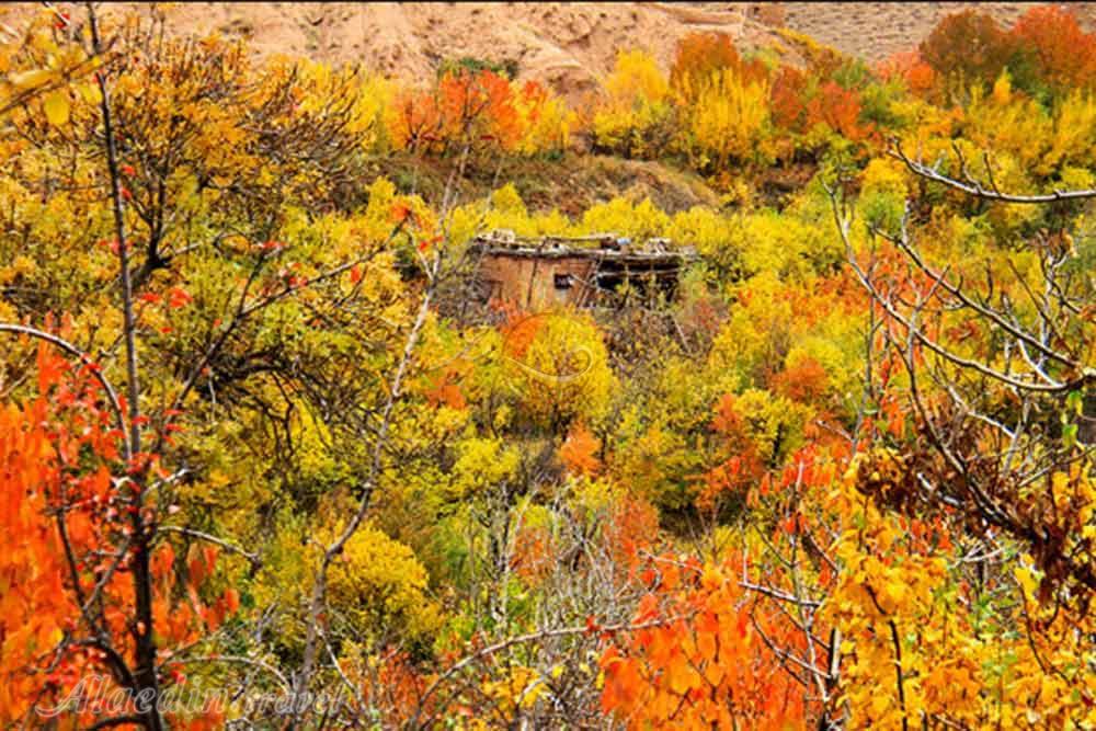 روستای بوژان در نیشابور | علاءالدین تراول