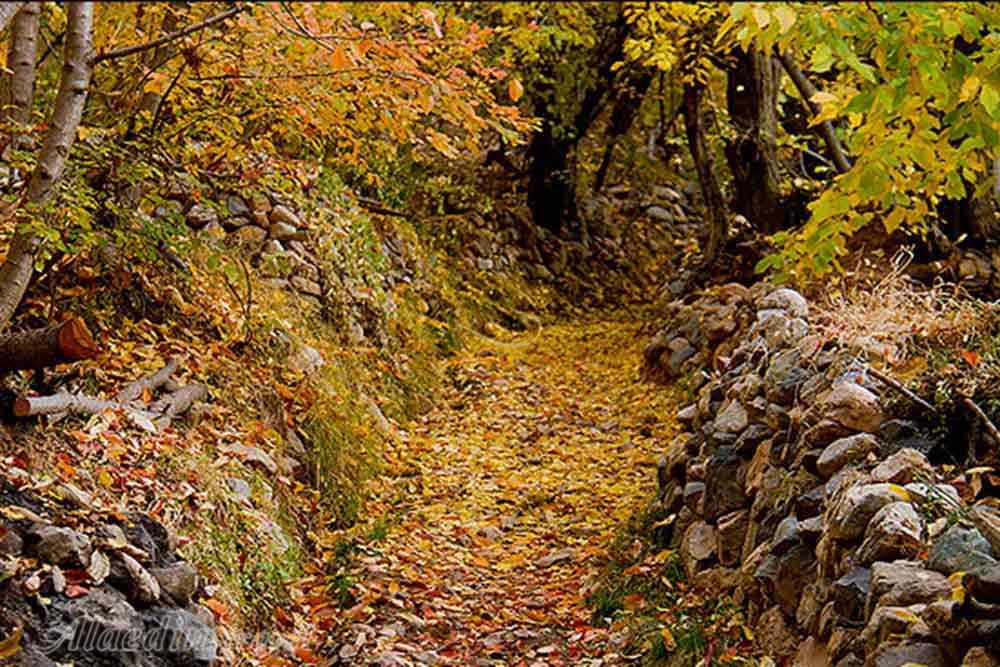 روستای بوژان در نیشابور | علاءالدین تراول