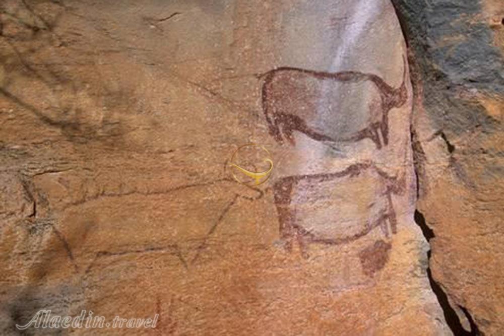 سنگ نگاره های تسودیلو در انگامیلند - بوتسوانا | علاءالدین تراول