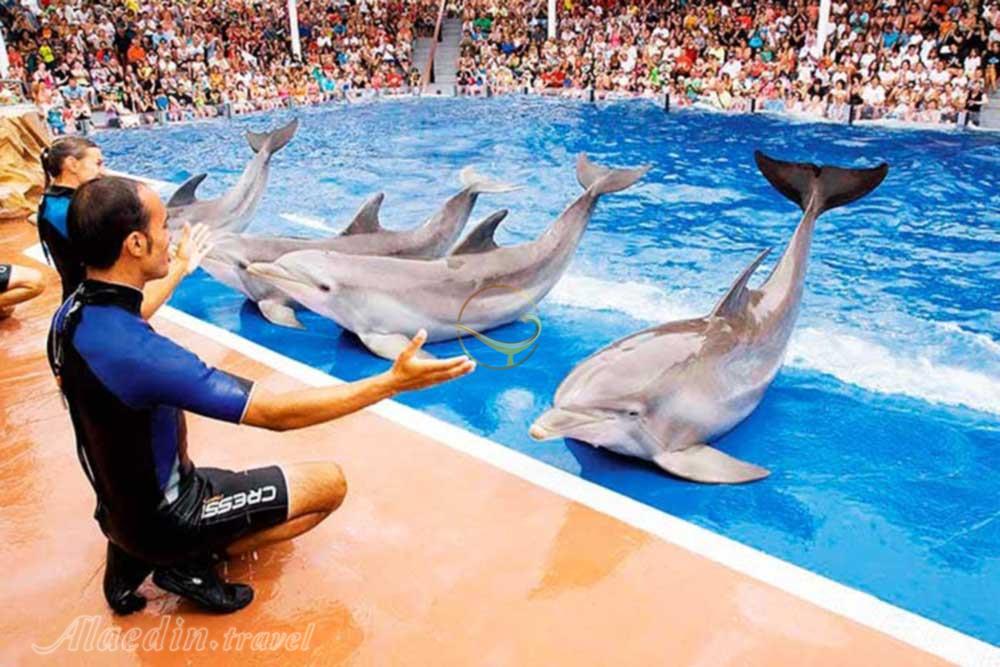 آکواریوم و پارک آبی مارین لند در نیاگارا فالز - کانادا | علاءالدین تراول