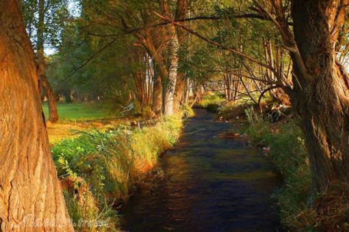 تفرجگاه بولاغلار نیر