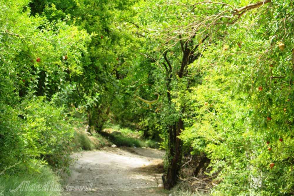 تنک بوران نورآباد | علاءالدین تراول