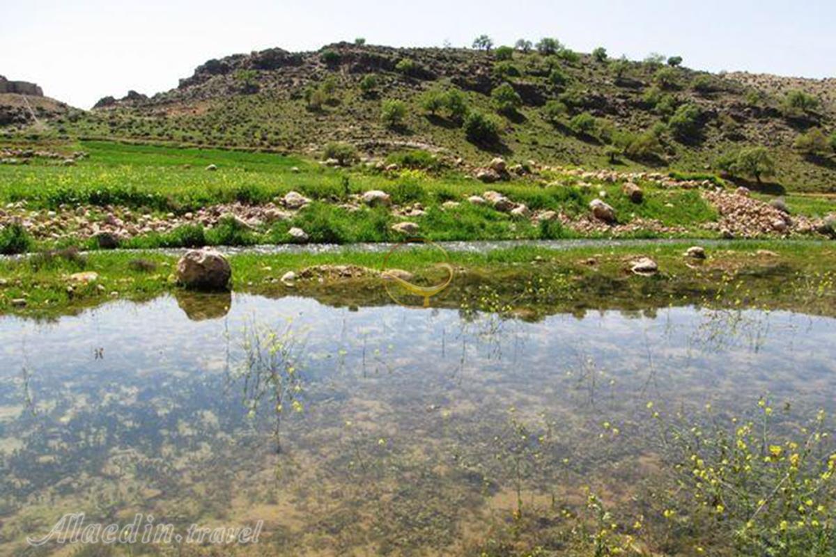 تنگه هرایزر نورآباد | علاءالدین تراول