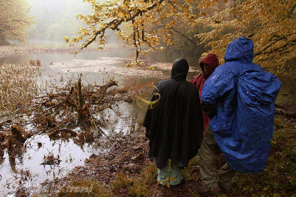 آبشار دارنو نوشهر | علاءالدین تراول