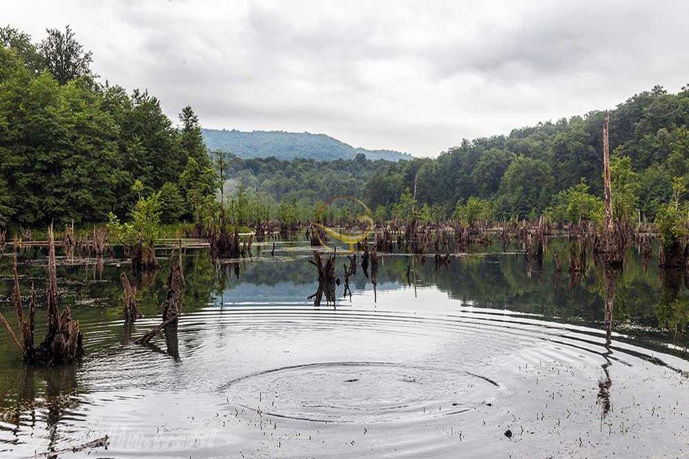 دریاچه ملا کلا نوشهر (تالاب ممرز/ تالاب ارواح) | علاءالدین تراول
