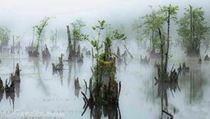 دریاچه ملا کلا نوشهر (تالاب ممرز/ تالاب ارواح)