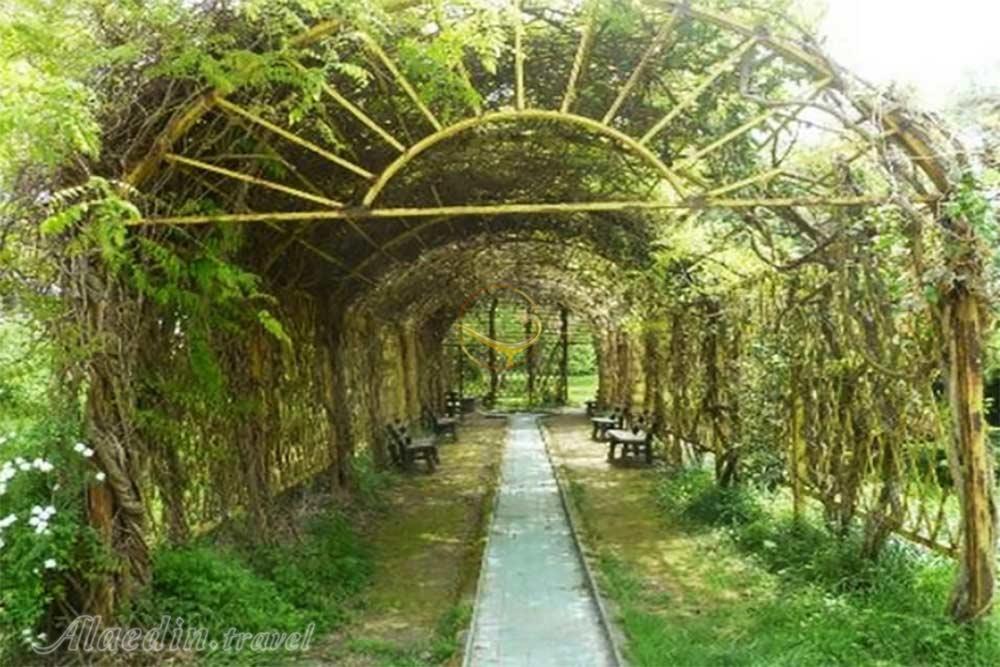 باغ گیاه شناسی نوشهر | علاءالدین تراول