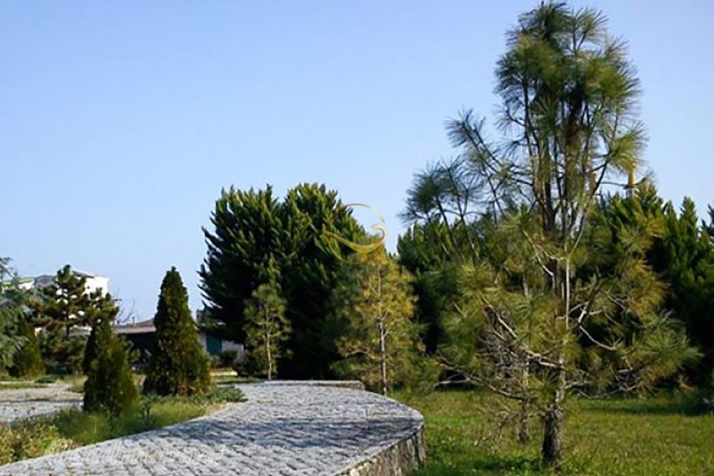 باغ گیاه شناسی نوشهر | علاءالدین تراول