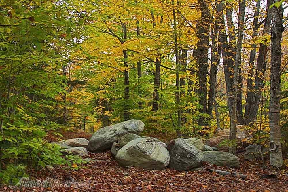 پارک جنگلی سی سنگان نوشهر | علاءالدین تراول