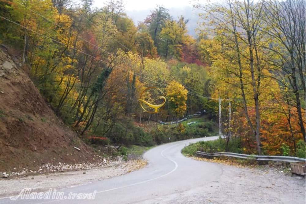 پارک جنگلی کشپل نور | علاءالدین تراول