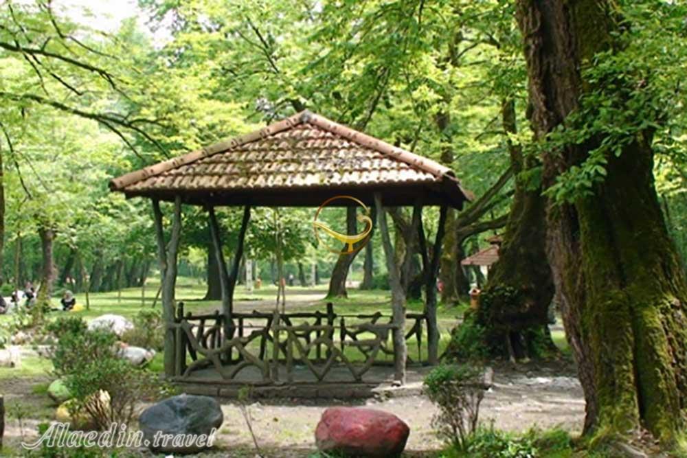 پارک جنگلی کشپل نور | علاءالدین تراول