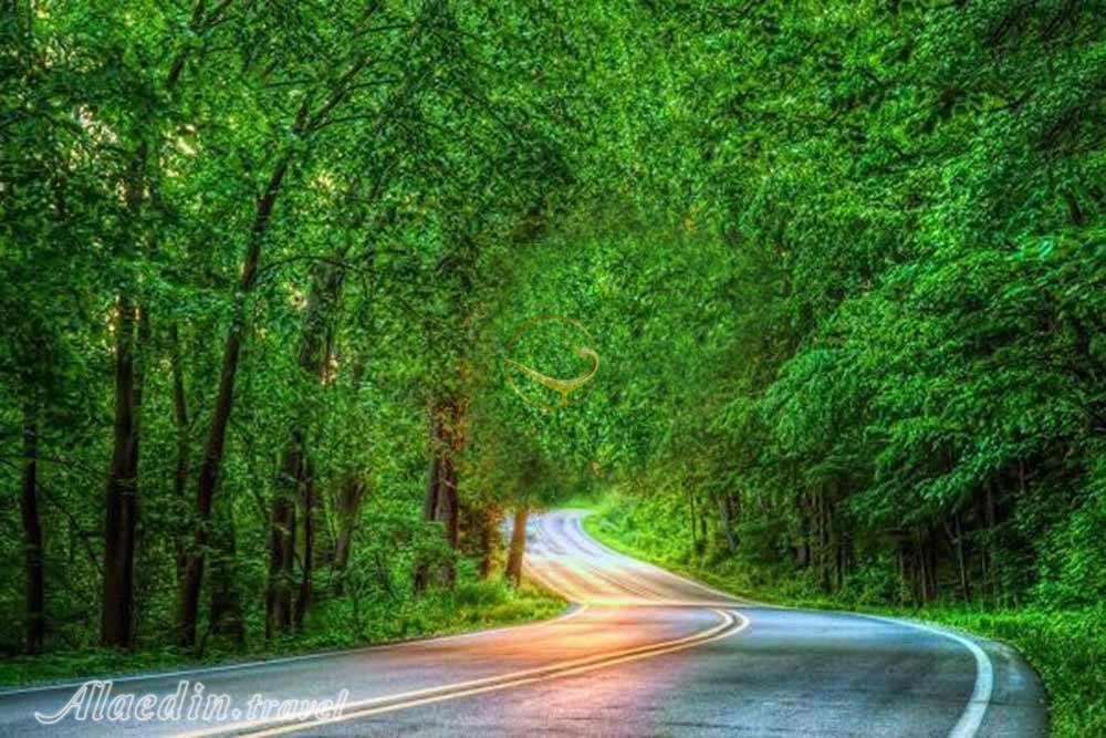 پارک جنگلی نور | علاءالدین تراول