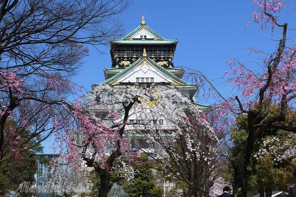 قلعه اوساکا - ژاپن | علاءالدین تراول