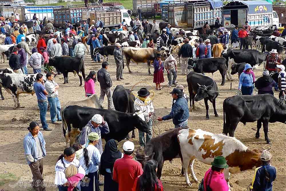 بازار اوتاوالو اکوادور | علاءالدین تراول