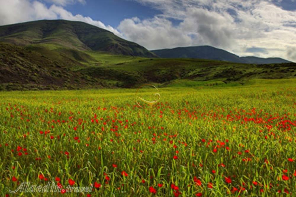 دشت مغان پارس آباد | علاءالدین تراول