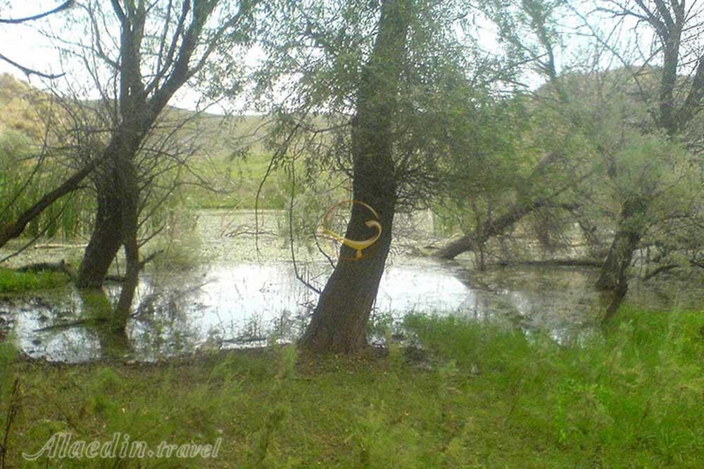 تالاب تپراق کندی در پارس آباد | علاءالدین تراول