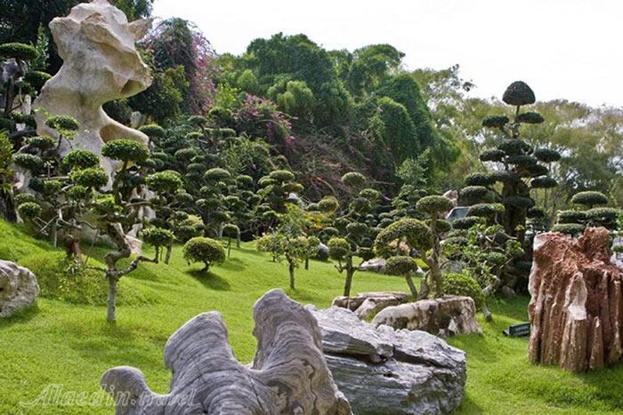 پارک سنگی و مزرعه کروکودیل در پاتایا - تایلند