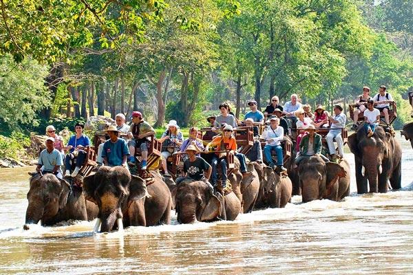 دهکده فیل ها در پاتایا - تایلند