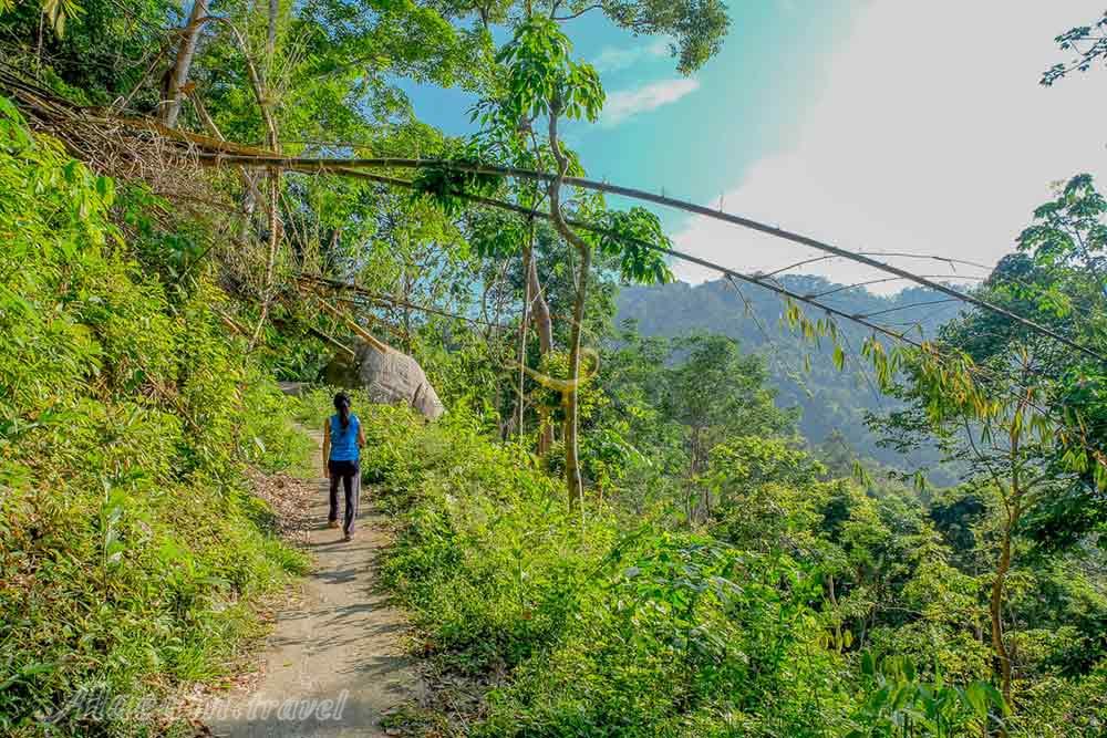 تپه پنانگ مالزی | علاءالدین تراول