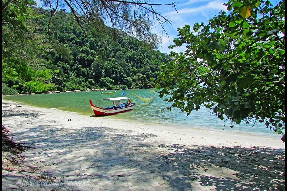 پارک ملی تامان نگارا پائولو در پنانگ - مالزی | علاءالدین تراول